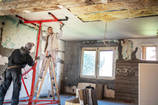Best Cellulose Insulation in Lansdale, PA